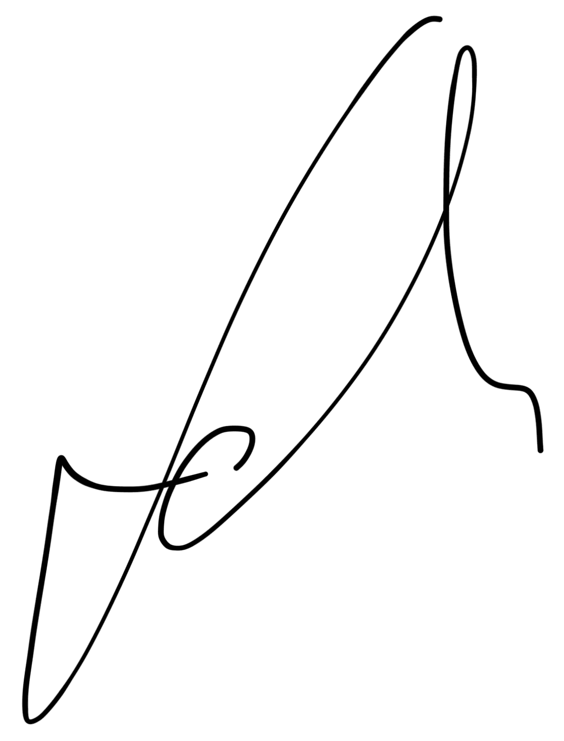 Nicolai Schmid’s signature
